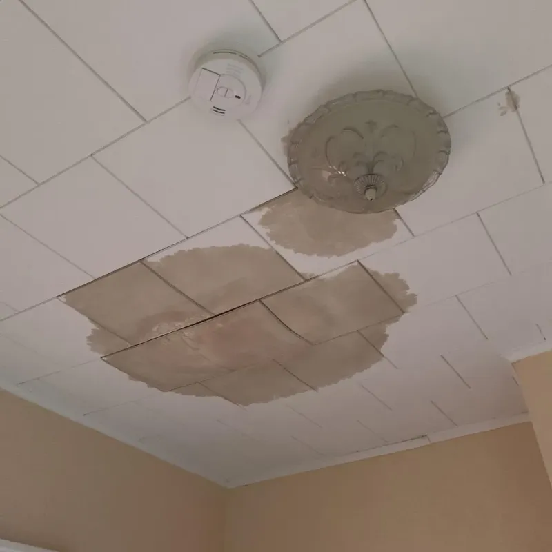 Ceiling Water Damage Repair in Hubbard, TX