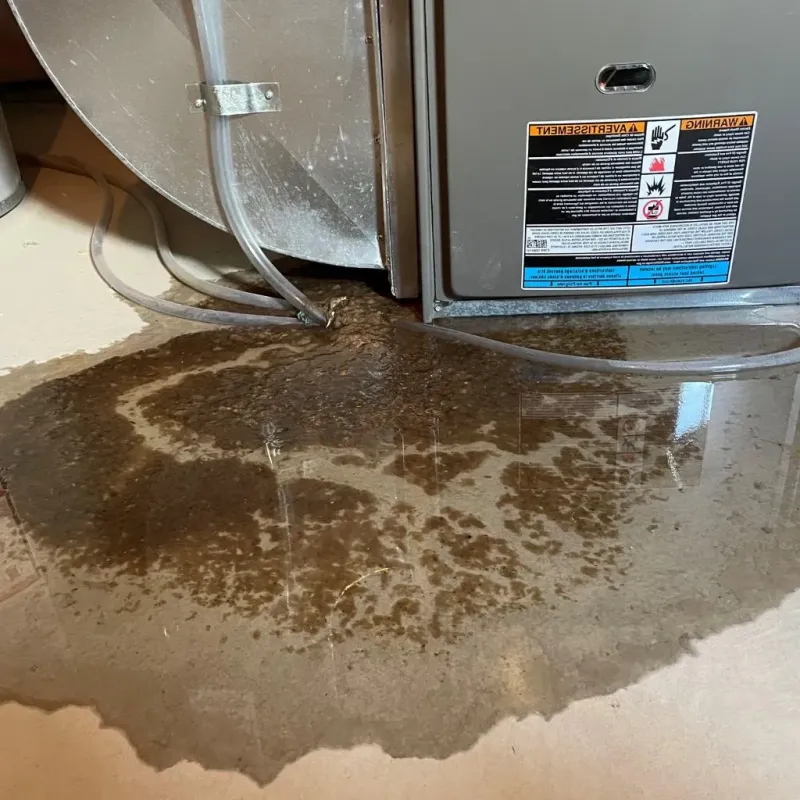 Pipe Burst and Leak Restoration in Hubbard, TX