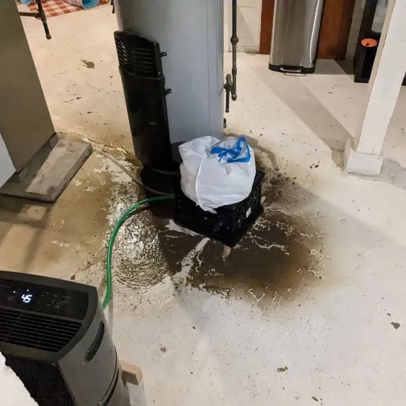 Sewage Backup Cleanup Service in Hubbard, TX